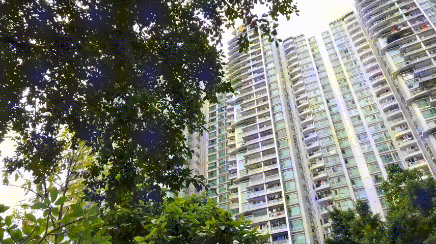 社区管控.gif